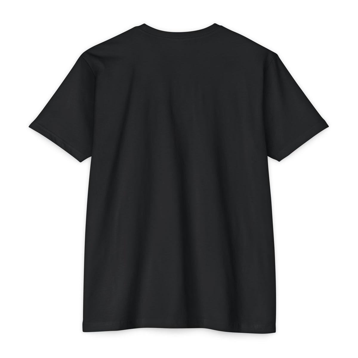 Sorry I Can't Marching Band T-Shirt